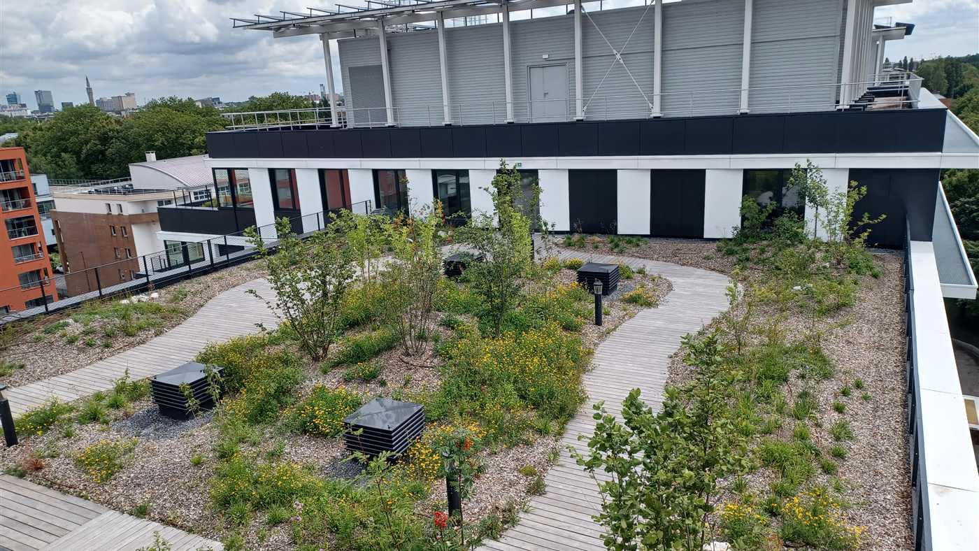 Terrasse plantée de la Cité administrative d'État de Lille, opération certifiée Effinature